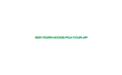 0291 Tiger Woods PGA Tour JAP 0291   Tiger Woods PGA Tour (JAP)