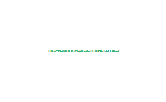 pga tour 12. Tiger Woods PGA Tour 12 log 2
